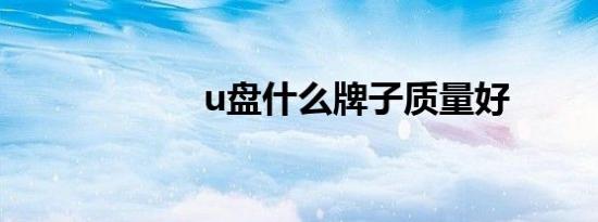 u盘什么牌子质量好