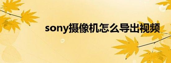 sony摄像机怎么导出视频