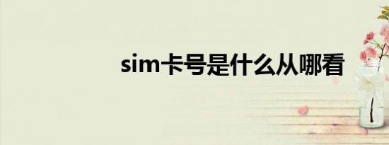 sim卡号是什么从哪看