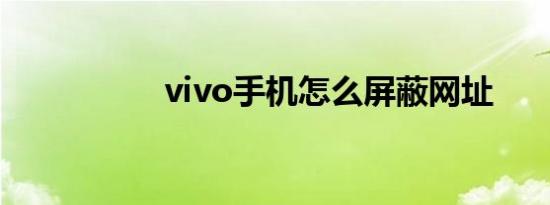 vivo手机怎么屏蔽网址