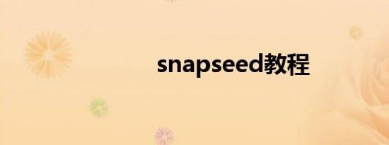 snapseed教程