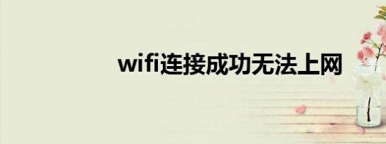 wifi连接成功无法上网