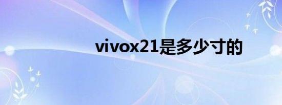 vivox21是多少寸的