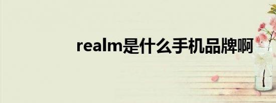 realm是什么手机品牌啊