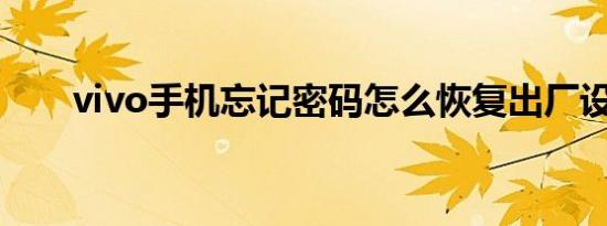 vivo手机忘记密码怎么恢复出厂设置