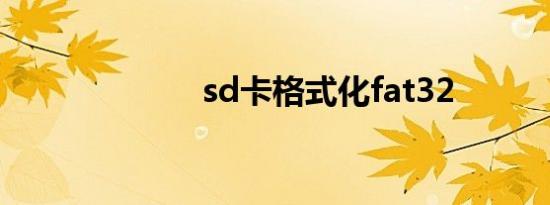 sd卡格式化fat32