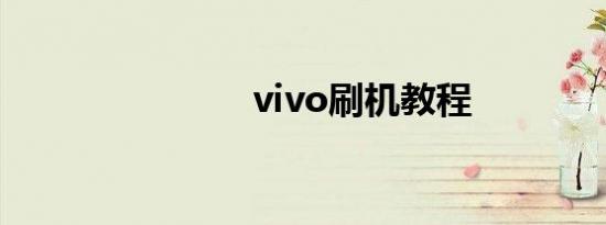 vivo刷机教程