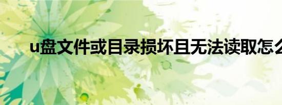 u盘文件或目录损坏且无法读取怎么办