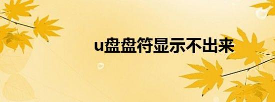 u盘盘符显示不出来