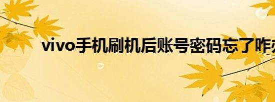 vivo手机刷机后账号密码忘了咋办