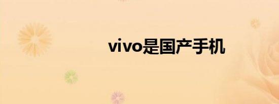 vivo是国产手机