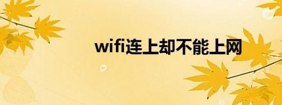 wifi连上却不能上网