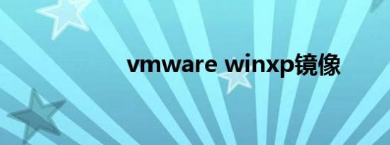 vmware winxp镜像