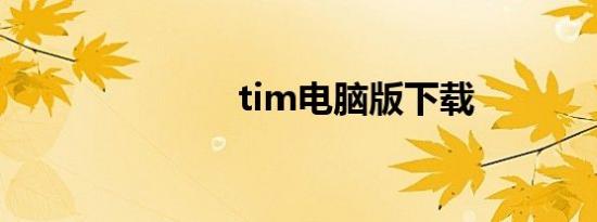 tim电脑版下载