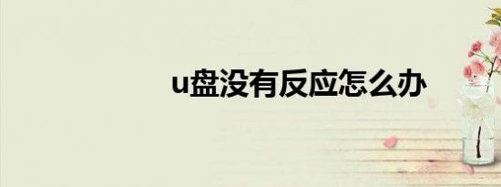 u盘没有反应怎么办