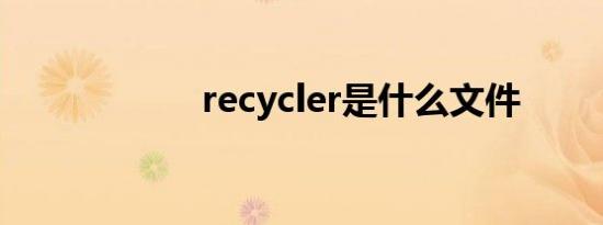recycler是什么文件