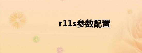 r11s参数配置