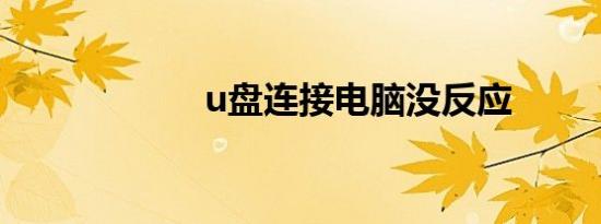 u盘连接电脑没反应