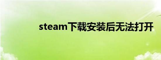 steam下载安装后无法打开