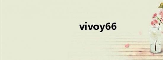 vivoy66