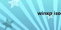 winxp iso