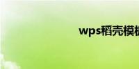 wps稻壳模板