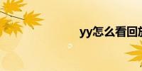 yy怎么看回放