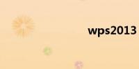 wps2013