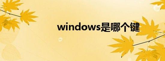 windows是哪个键