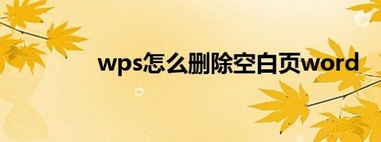 wps怎么删除空白页word