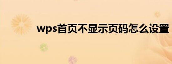 wps首页不显示页码怎么设置