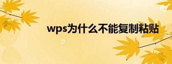 wps为什么不能复制粘贴