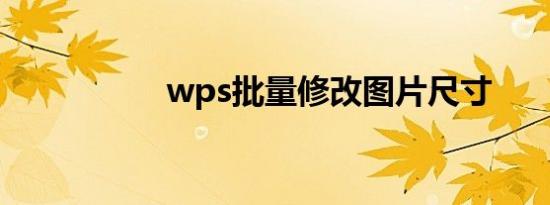 wps批量修改图片尺寸