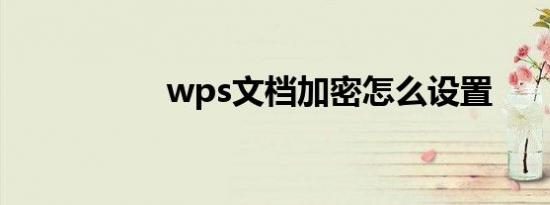 wps文档加密怎么设置