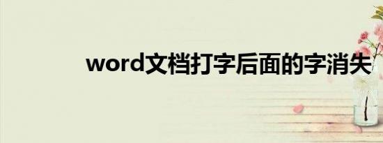 word文档打字后面的字消失
