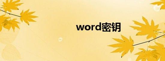 word密钥