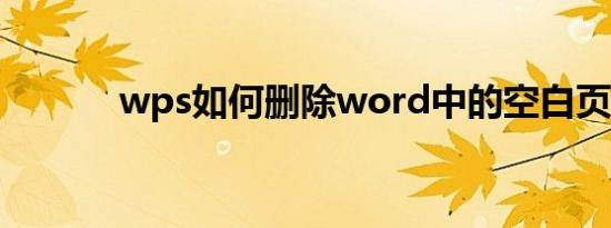 wps如何删除word中的空白页