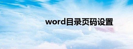 word目录页码设置