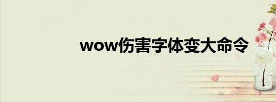 wow伤害字体变大命令