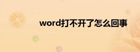 word打不开了怎么回事