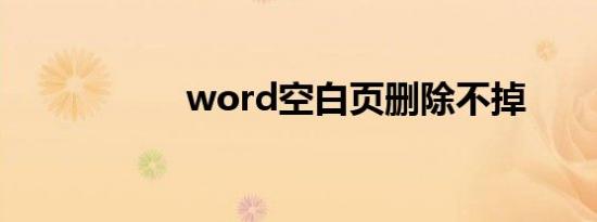 word空白页删除不掉
