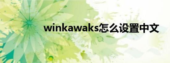winkawaks怎么设置中文
