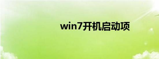 win7开机启动项