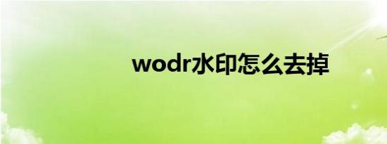 wodr水印怎么去掉