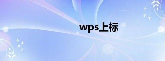 wps上标