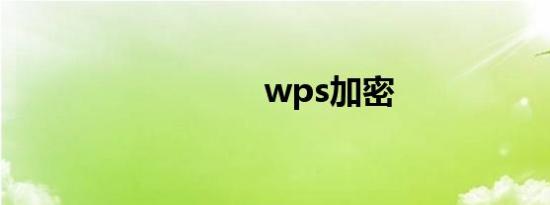 wps加密