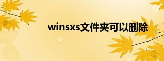 winsxs文件夹可以删除
