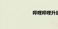 哔哩哔哩升级