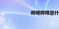 哔哩哔哩是什么