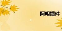 阿明插件